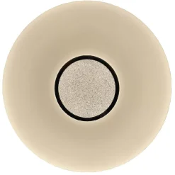 LED-plafondi FocusLight Moon Ø51cm 36W himmennettävä valkoinen