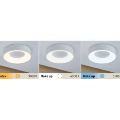 LED-Plafondi Paulmann Casca Ø300mm IP44 himmennettävä valkoinen
