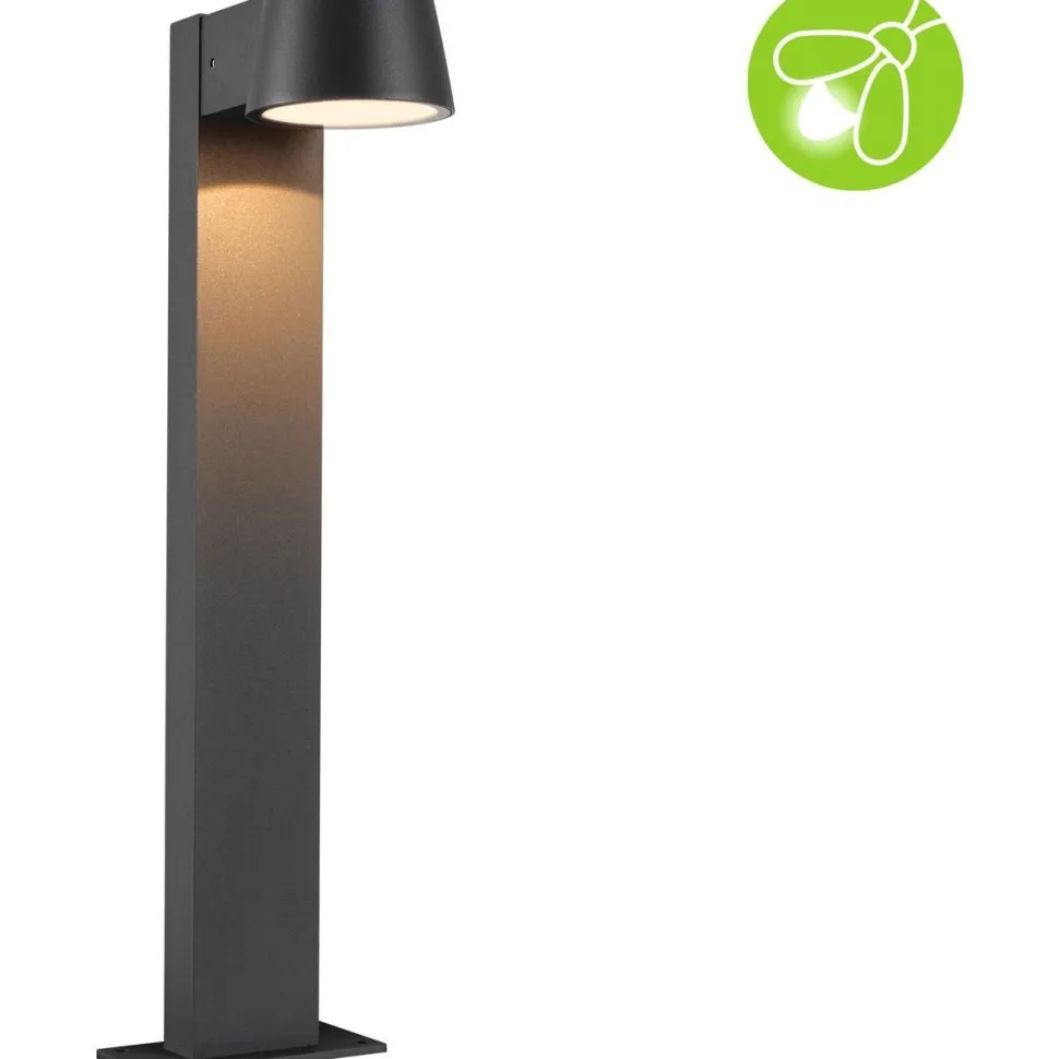 LED-pollarivalaisin Paulmann Capea, IP44, 50cm, 2200K, antrasiitti