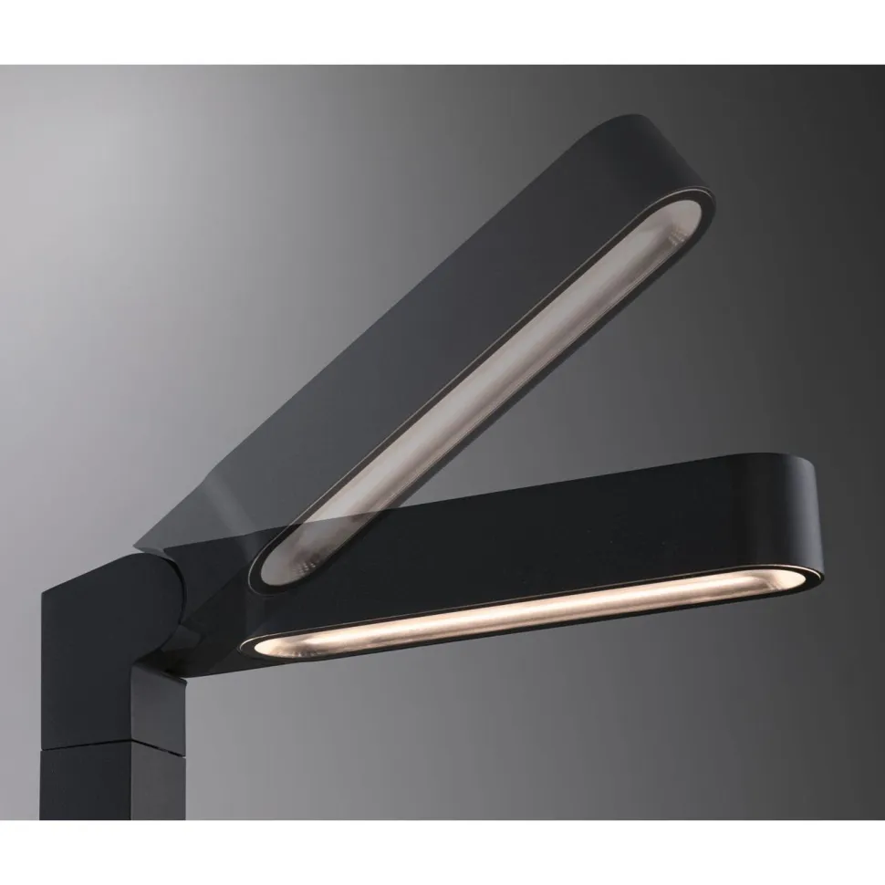 LED-pollarivalaisin Paulmann Plug & Shine Ito, IP65, 3000K, pystysuuntainen säätö, antrasiitti