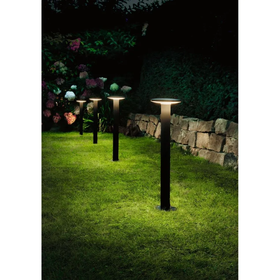 LED-pollarivalaisin Paulmann Plug & Shine Plate, IP44, 3000K, antrasiitti