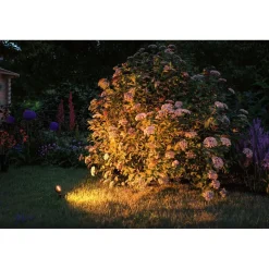 LED-puutarhaspotti Paulmann Plug & Shine Sting, IP67, 2200K, 6.3W, antrasiitti