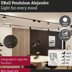 LED-riippuvalaisin Paulmann URail Alejandro 800lm 10W 4000K 3-Step-Dim himmennettävä valkoinen