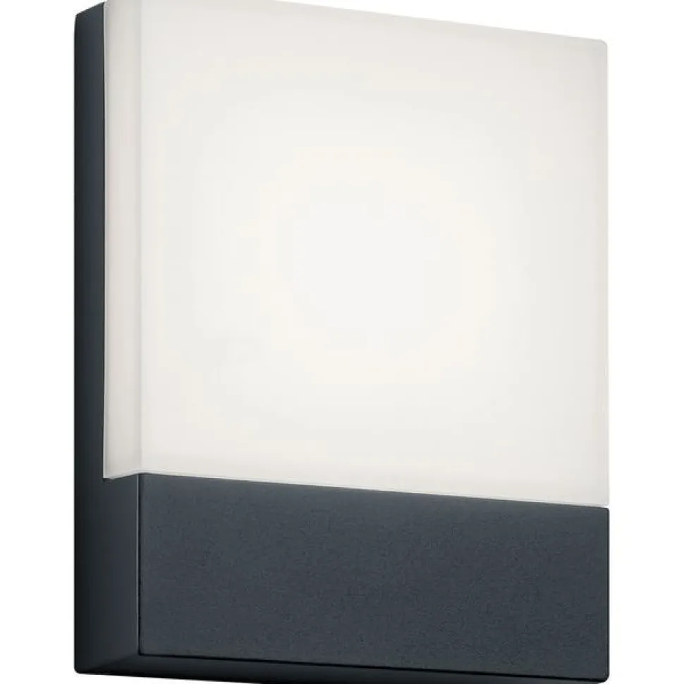 LED-seinävalaisin Trio Pecos 200x160 mm antrasiitti