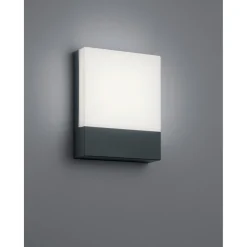 LED-seinävalaisin Trio Pecos 200x160 mm antrasiitti