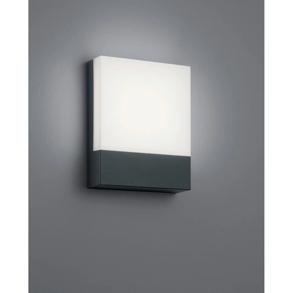 LED-seinävalaisin Trio Pecos 200x160 mm antrasiitti