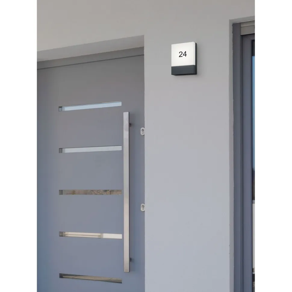 LED-seinävalaisin Trio Pecos 200x160 mm antrasiitti