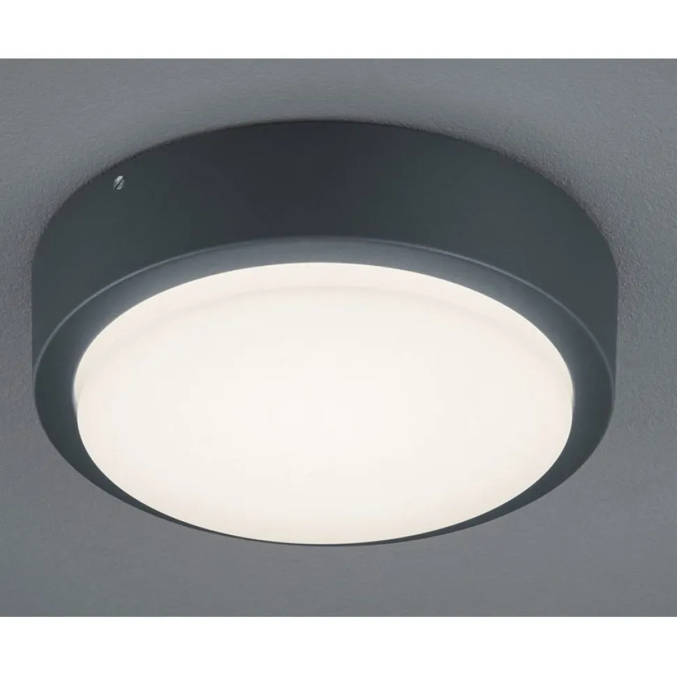 LED-seinävalaisin Trio Breg Ø200 mm antrasiitti IP54