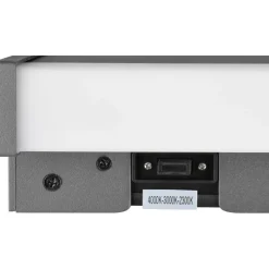 LED-seinävalaisin Trio Dawson, 30cm, antrasiitti