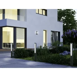LED-seinävalaisin Trio Rhine 250x110x100 mm antrasiitti