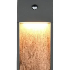 LED-seinävalaisin Trio Salmon, puu/antrasiitti, liiketunnistin