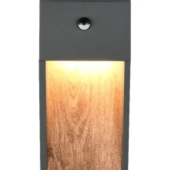 LED-seinävalaisin Trio Salmon, puu/antrasiitti, liiketunnistin