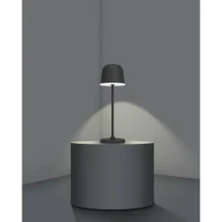 LED-ulkopöytävalaisin Eglo Mannera, ladattava, ruskea