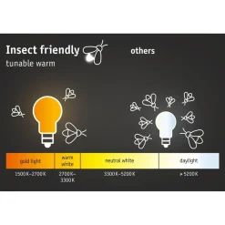 LED-ulkoseinävalaisin liike- ja hämärätunnistimella Paulmann Ikosea, Smart Home Zigbee 3.0, IP44, 5x20.3cm, säädettävä värilämpötila, antrasiitti
