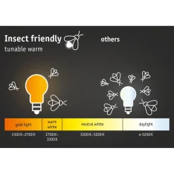 LED-ulkoseinävalaisin hämärätunnistimella Paulmann Circula, Smart Home Zigbee 3.0, IP44, 32cm, antrasiitti