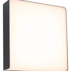 LED-ulkoseinävalaisin liiketunnistimella Paulmann Azalena, Smart Home Zigbee 3.0, IP44, säädettävä värilämpötila, antrasiitti