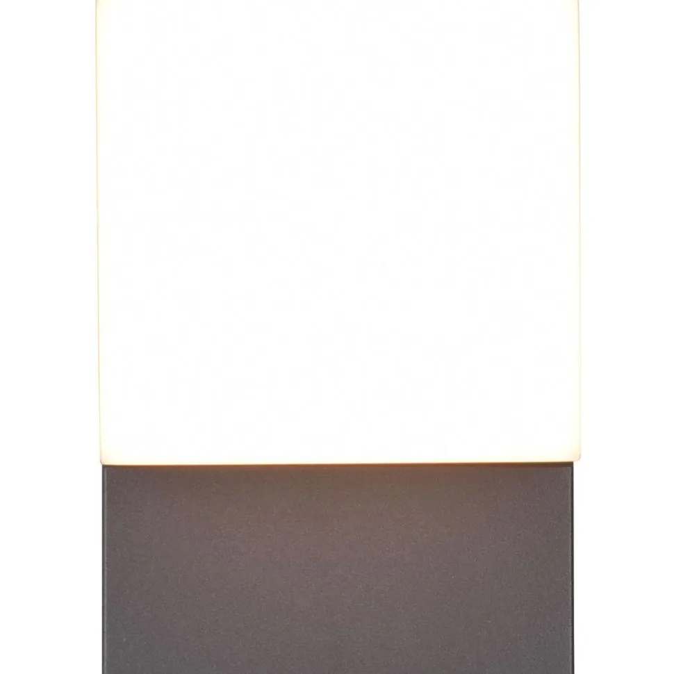 LED-ulkoseinävalaisin Trio Avon 1-osainen antrasiitti