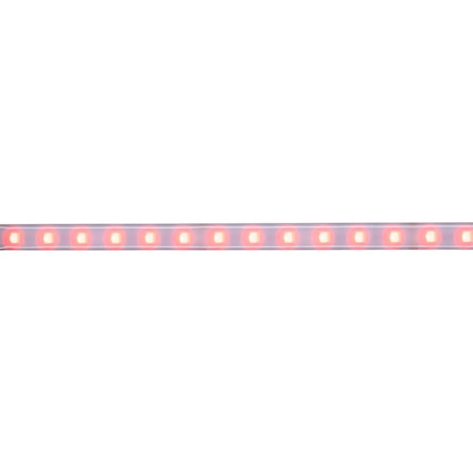 LED-valonauha Paulmann MaxLED 500, 1m, IP44, 12W, 440lm/m, RGBW+
