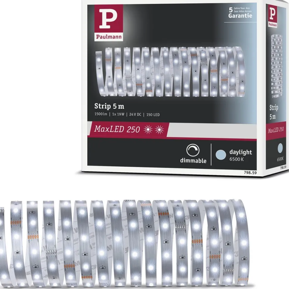 LED-valonauha Paulmann MaxLED 250, 1m, 4W, 300lm/m, 6500K