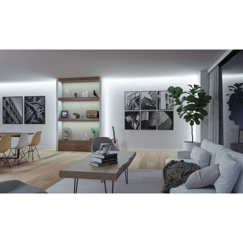 LED-valonauha Paulmann ProStrip Silver, P150, 865, 5m, 50W, 1550lm/m, 160LEDs/m, 6500K