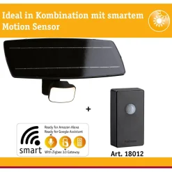LED-valonheitin aurinkokennolla Paulmann Solar Smart Home Zigbee 3.0 Flotas, IP65, 3000K, 700lm, antrasiitti
