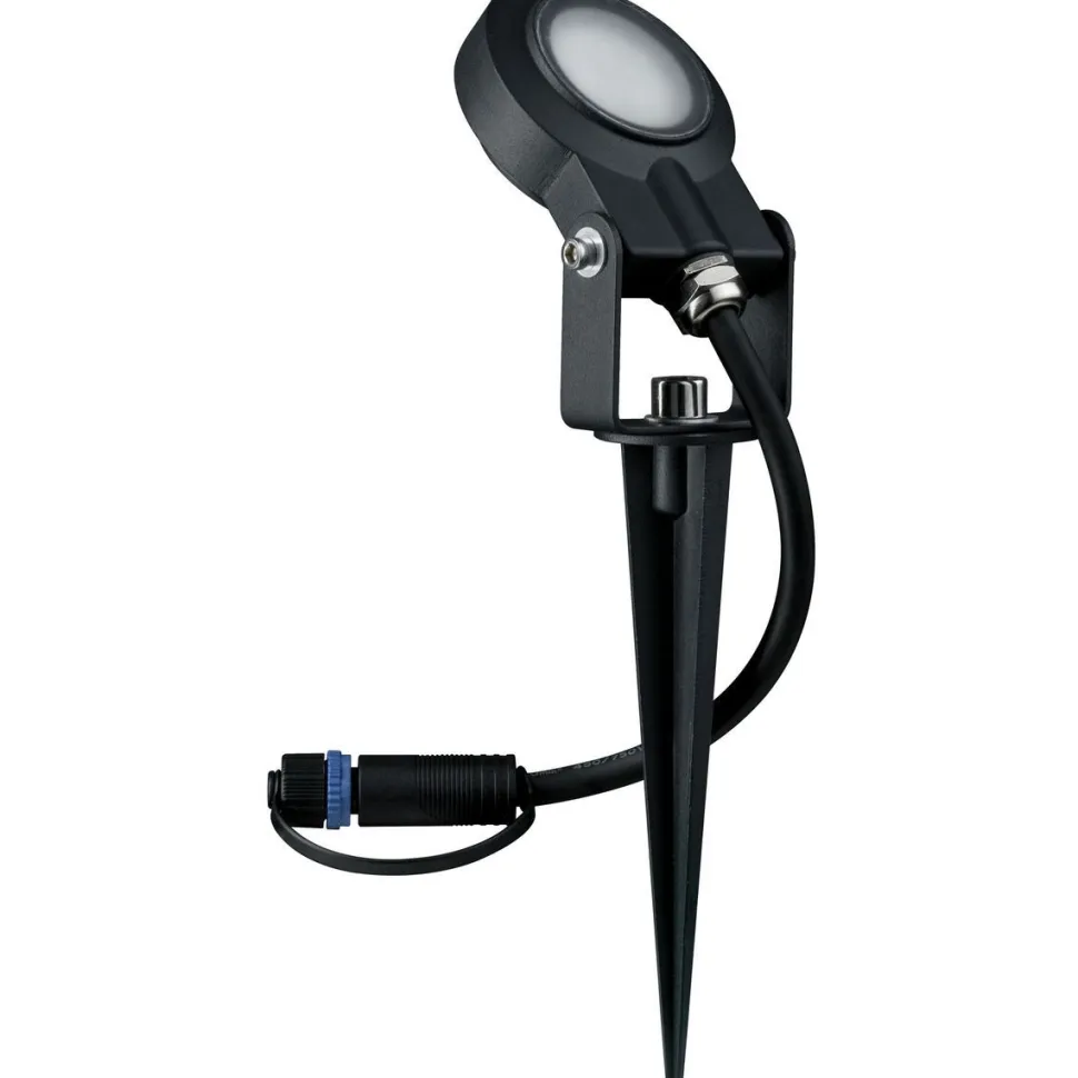 LED-Valonheitin Paulmann Plug & Shine Sting 6W antrasiitti