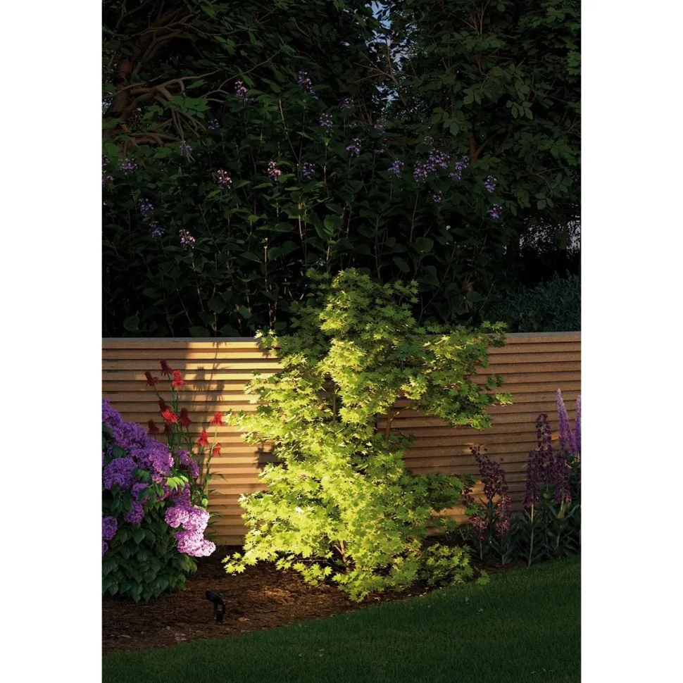 LED-Valonheitin Paulmann Plug & Shine Sting 6W antrasiitti
