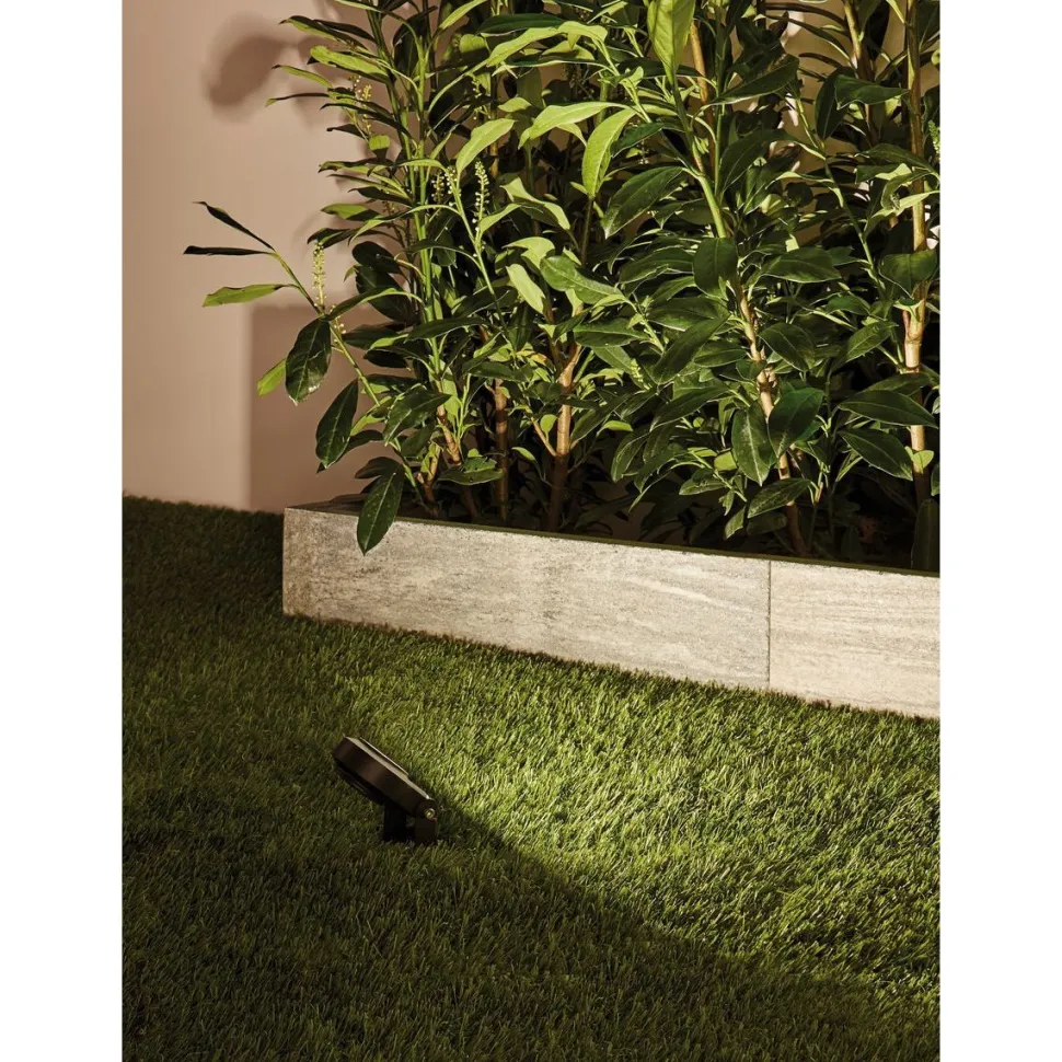 LED-Valonheitin Paulmann Plug & Shine Sting 6W antrasiitti
