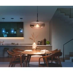 Älylamppu Philips Hue WCA 15W A67 E27