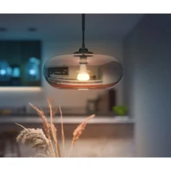 Älylamppu Philips Hue WCA 15W A67 E27