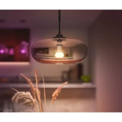 Älylamppu Philips Hue WCA 15W A67 E27