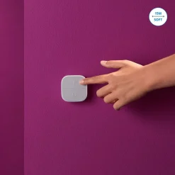 Ohjauspainike WiZ Smart