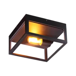 Plafonfi Aneta Lighting Arendal ulkokäyttöön IP44