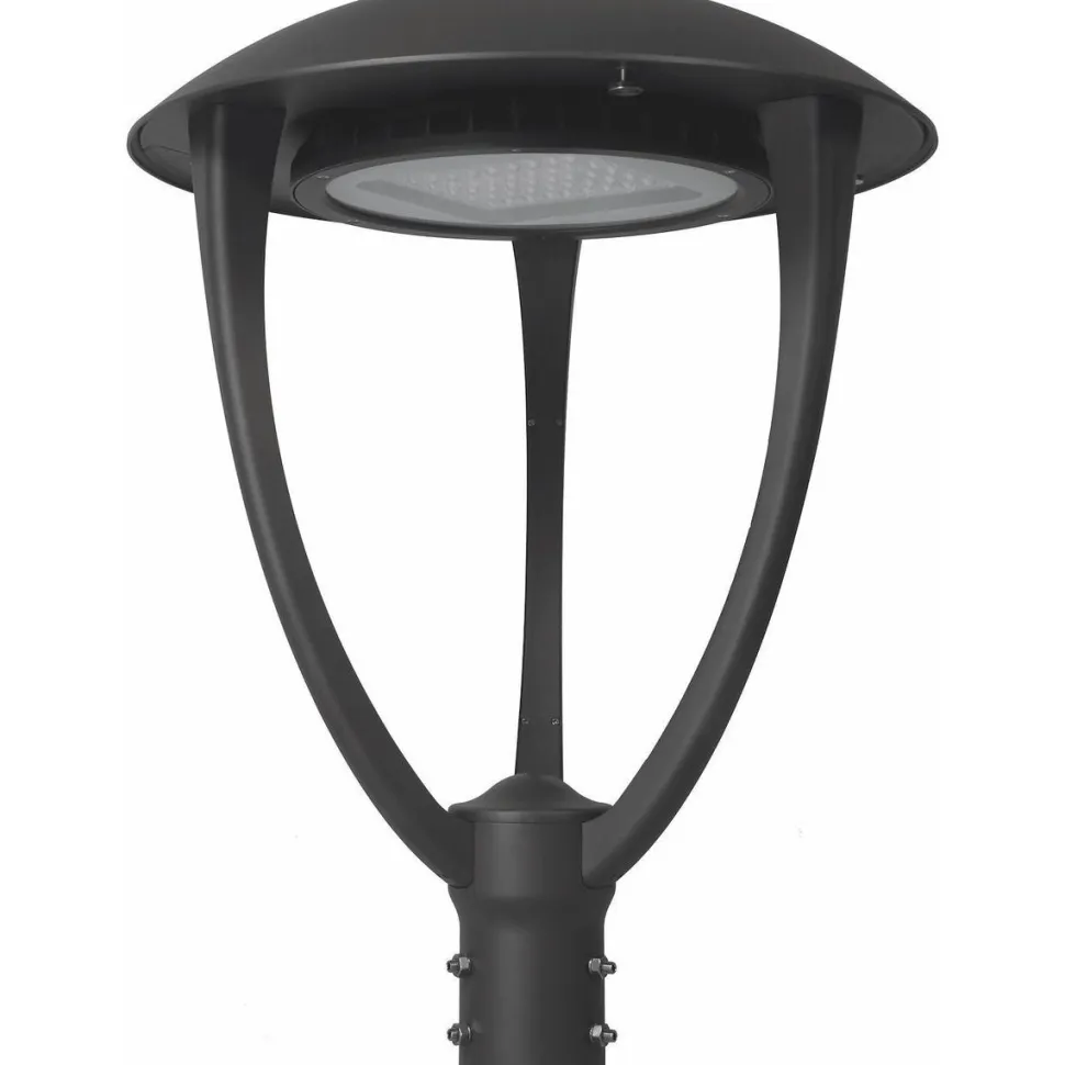 Puistovalaisin Malmbergs Sigma, 65W