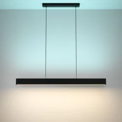 Riippuvalaisin Eglo connect.z Andreas-z, 117cm, 2xLED 19W, IP20, musta