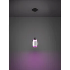 Riippuvalaisin Eglo Molochio-z LED RGB CCT musta