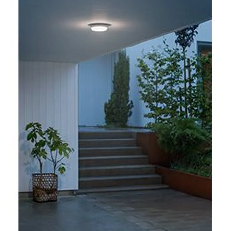 Seinä/Kattovalaisin Konstsmide Cesena 7974-250 LED valkoinen