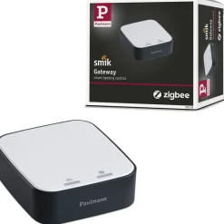 Smart Home Zigbee 3.0- portti Paulmann Smik, antrasiitti