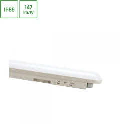 Teollisuusvalaisin Spectrum Limea Connect tiivistetty 600mm 25W 4000K 120° IP65 IK08 harmaa